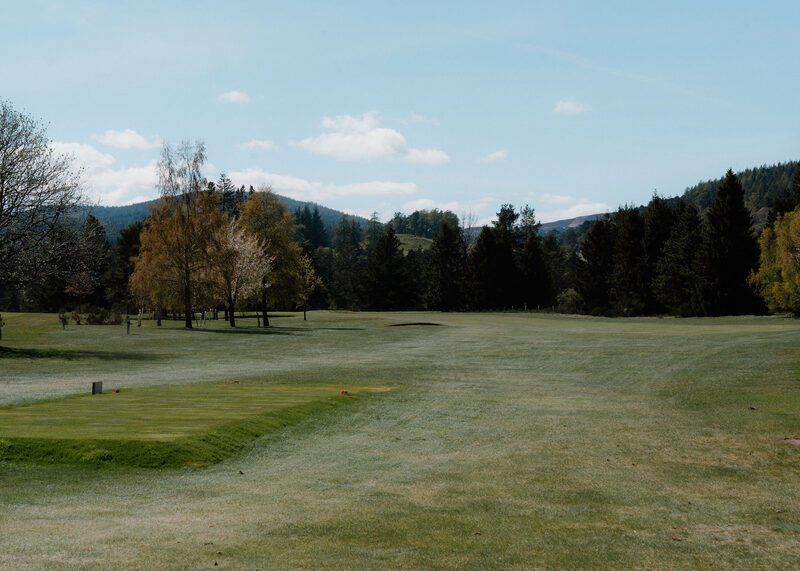 A tee looking down a pale spring fairway towards bare trees and pine woods.