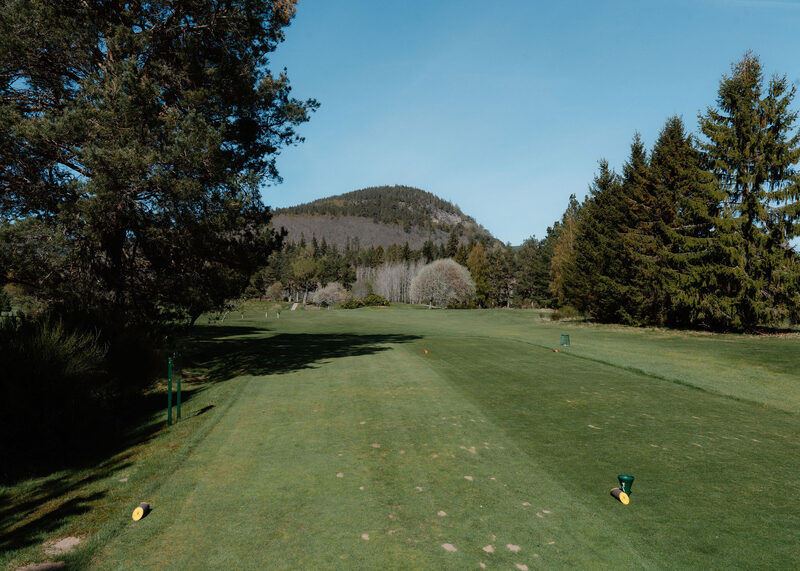 A tee under pines looking down a fairway towards a rounded wooded hill.