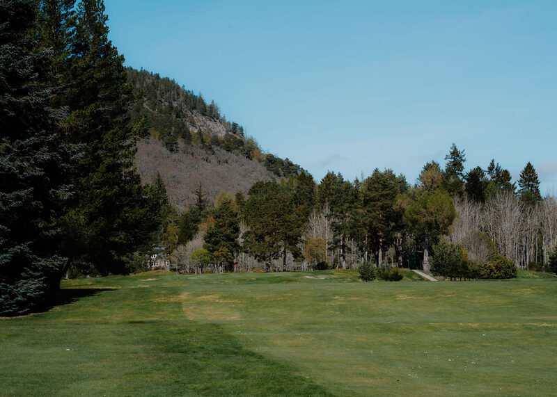 A fairway below a steep wooded hill with pines and birches.