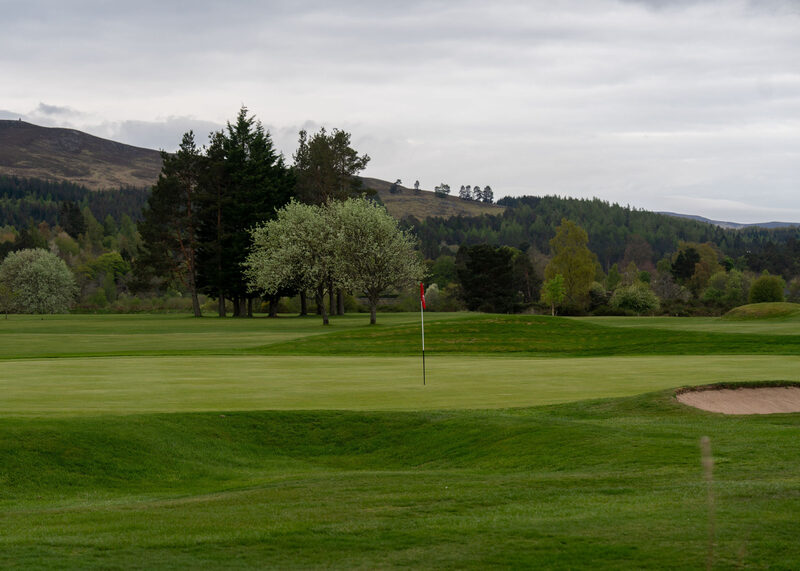 A green with a red flag and a bunker below pines and a tree in white blossom, with a hill behind.