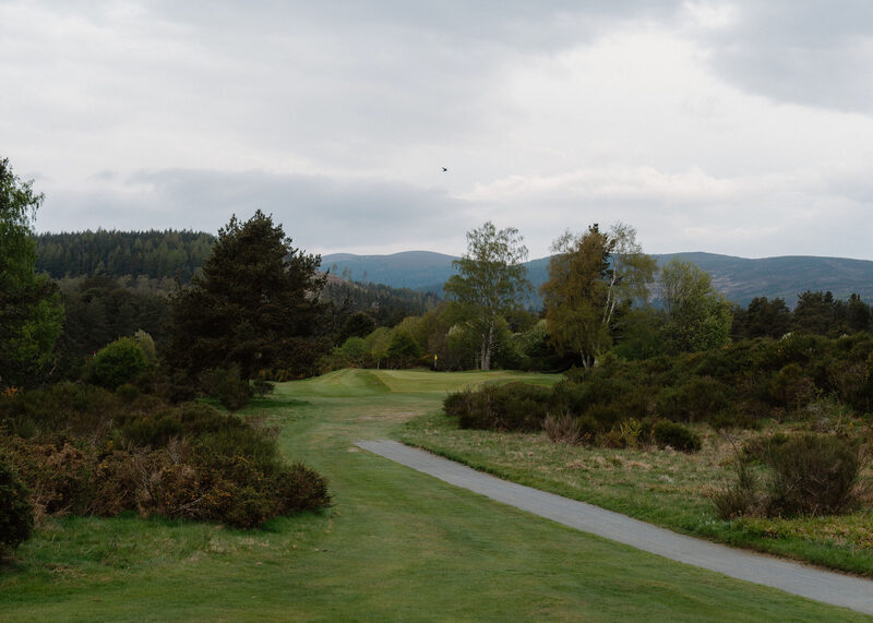 A path winding past gorse to a green, with pines, birches and hills beyond.