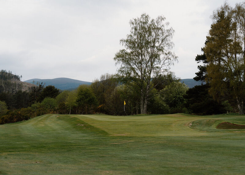 A green with a yellow flag below a tall birch.