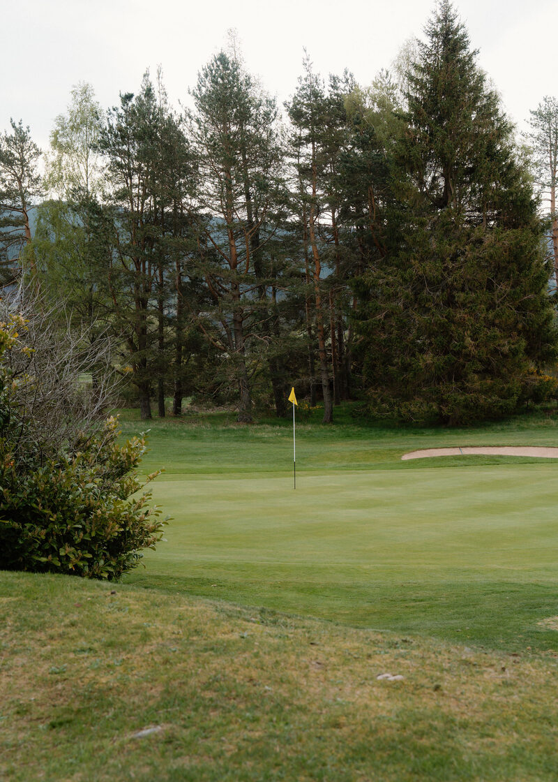 A green with a yellow flag and a bunker in front of tall pines.