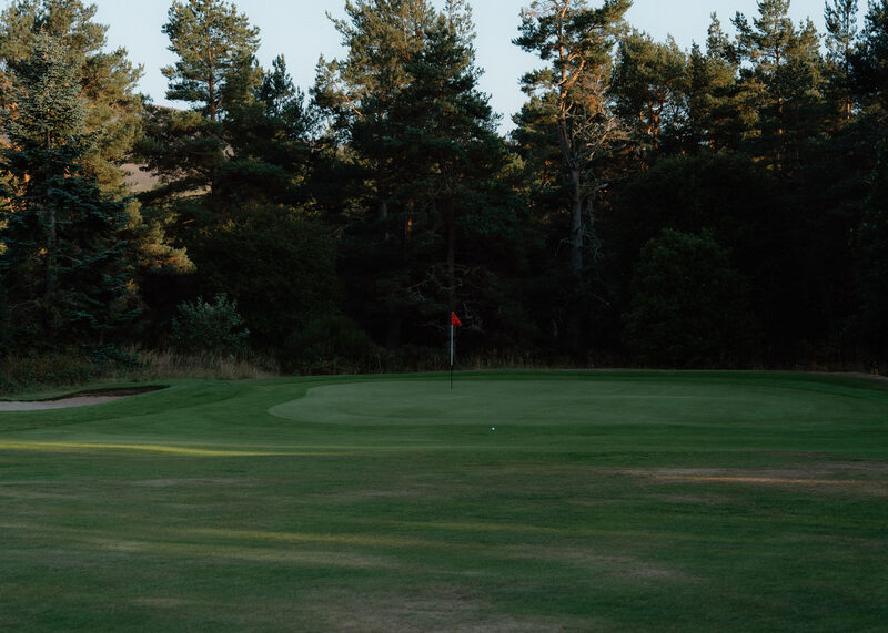 A green with a red flag at the edge of a pine wood in low sun.
