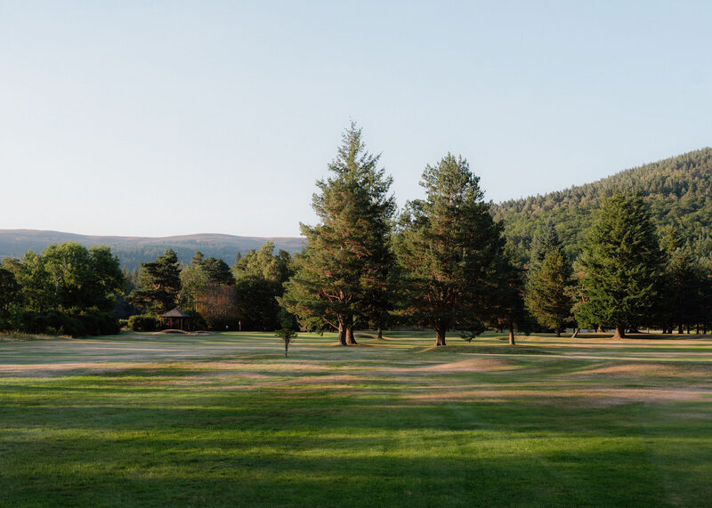 Two tall conifers on a fairway in evening light, with a small wooden hut and hills behind.