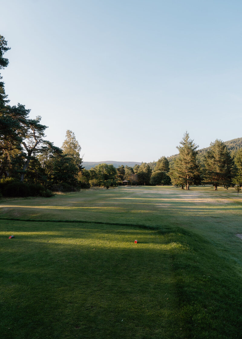 A tee with a red marker looking down a fairway between pines.