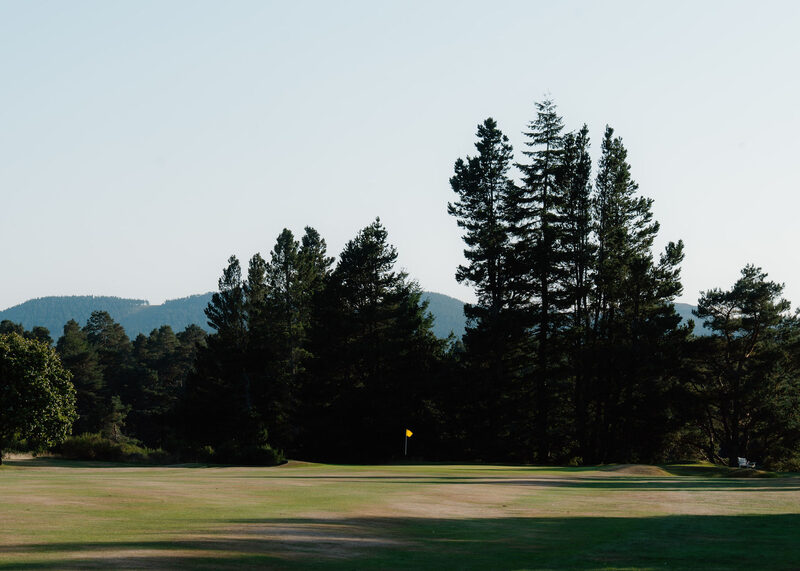 Tall Scots pines in silhouette above a fairway, with a small flag far off.