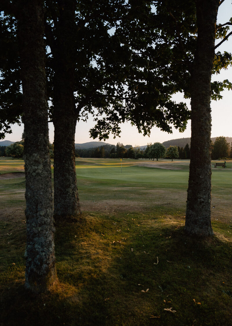 A green with a yellow flag seen between tree trunks, with a bench and hills beyond.