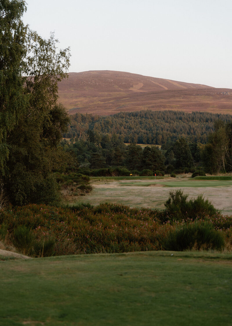 A green beyond heather at dusk, below a forested hill with a heather top.