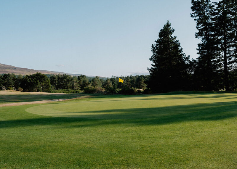 A green with a yellow flag in evening light, with tall pines beside it.