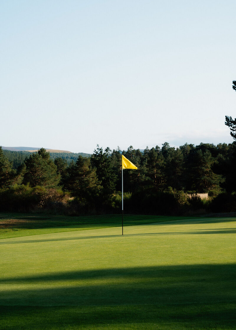 A yellow flag on a green in front of a pine wood.