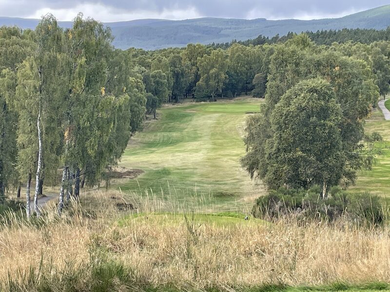 Looking down from a raised tee along a fairway between birch trees to a green with a bunker, with forest and long hills behind.