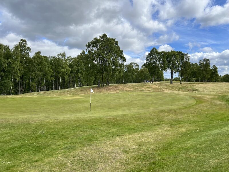 A green with a white flag below a grassy rise, with birch trees all around and a buggy in the distance.
