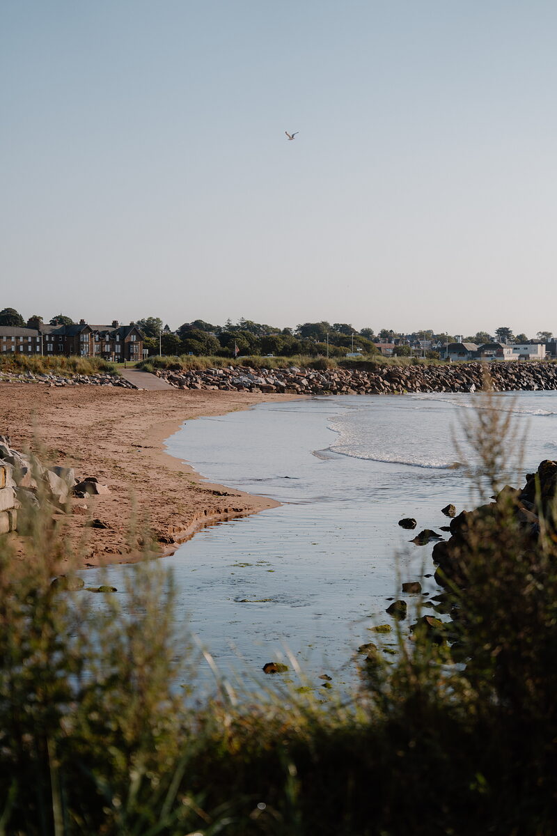 A curving sandy beach and rock groyne beneath a row of townhouses, a bird flying overhead.