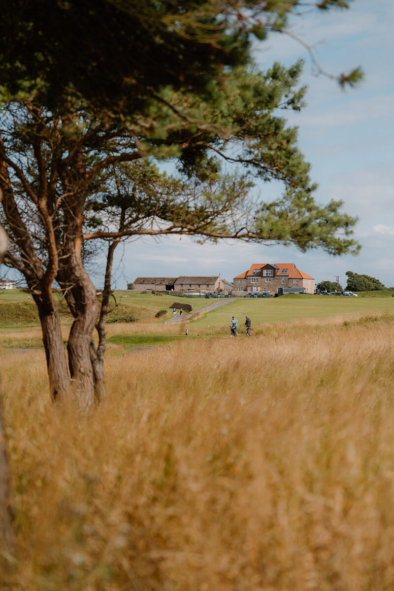 A lone pine framing golfers walking a path towards a clubhouse and parked cars