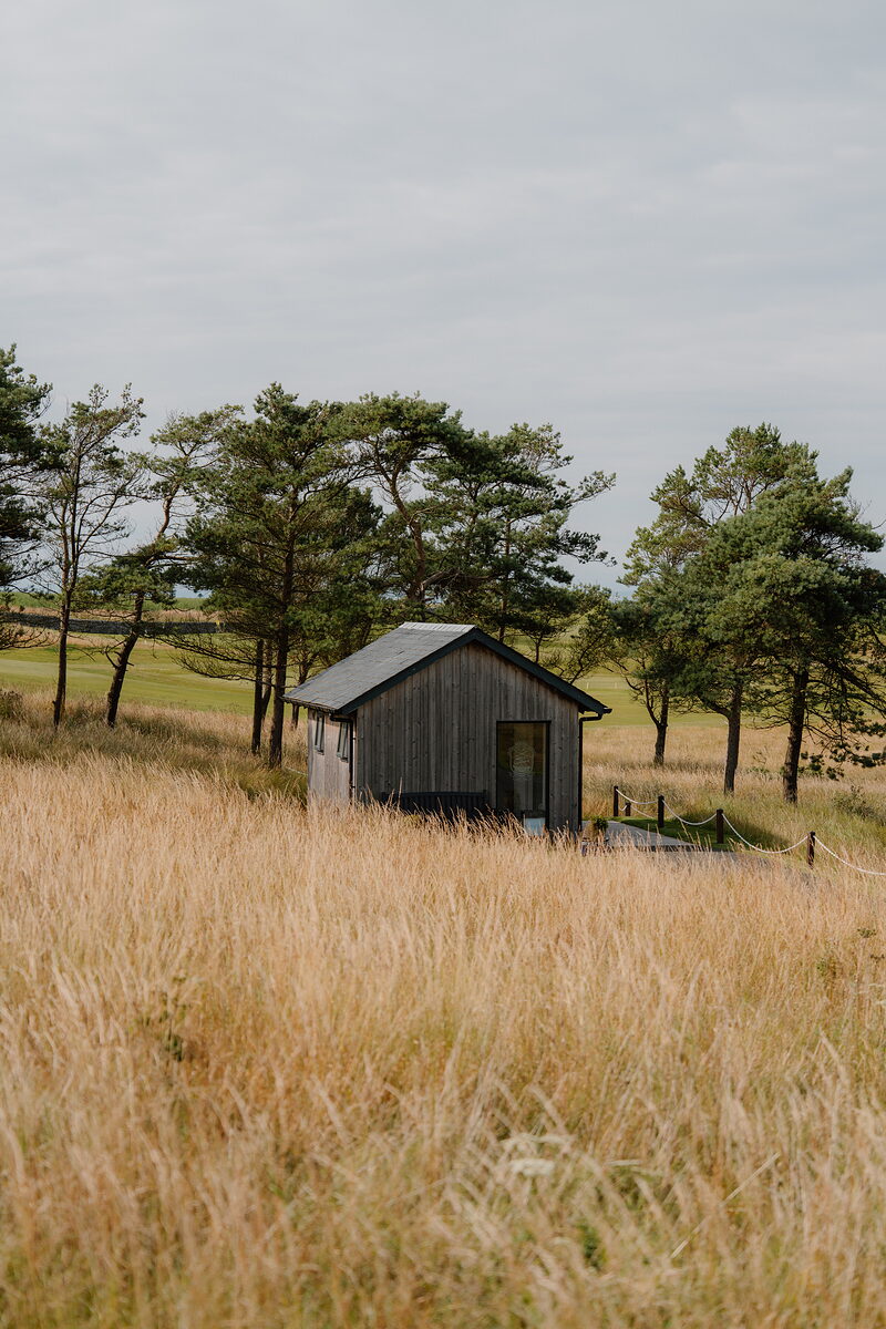 A dark timber shelter set among pines beside a fairway of long grass