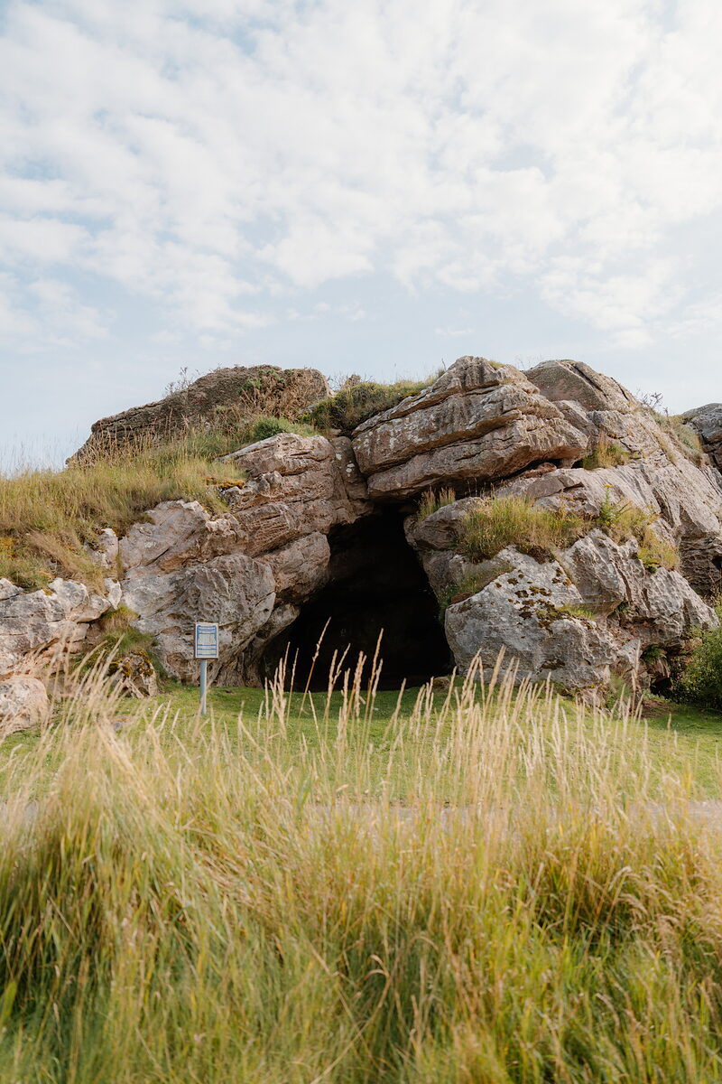 A rocky cave entrance framed by grass and long stems, an information sign standing at its mouth