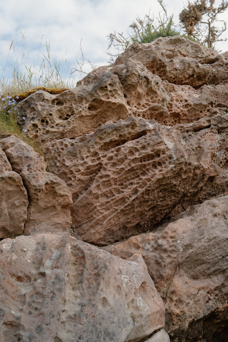 Weathered honeycomb-textured sandstone rocks bordered by grass and gorse