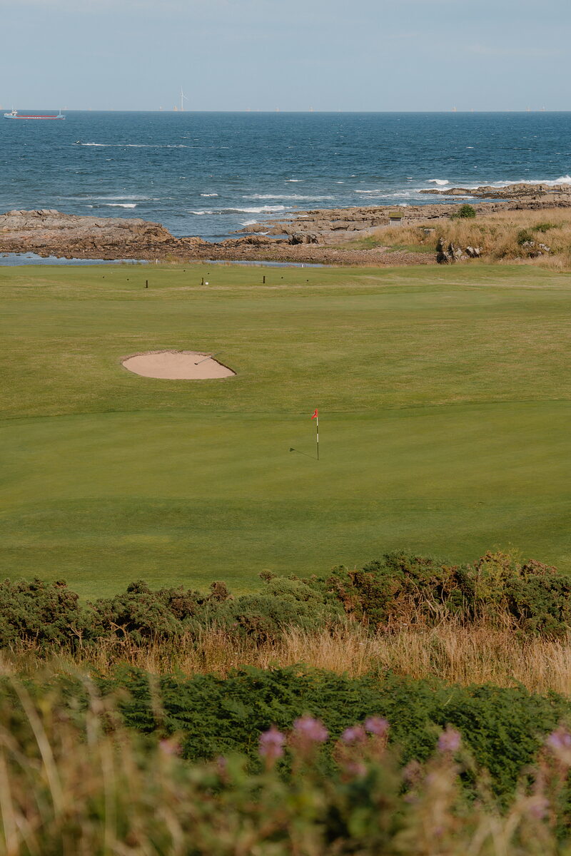 A green with a bunker beside the sea at Crail, gorse and wildflowers in the foreground