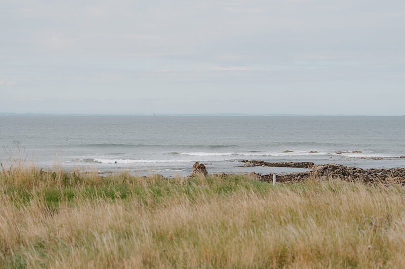 Waves rolling onto a rocky shoreline beyond dune grass at Crail