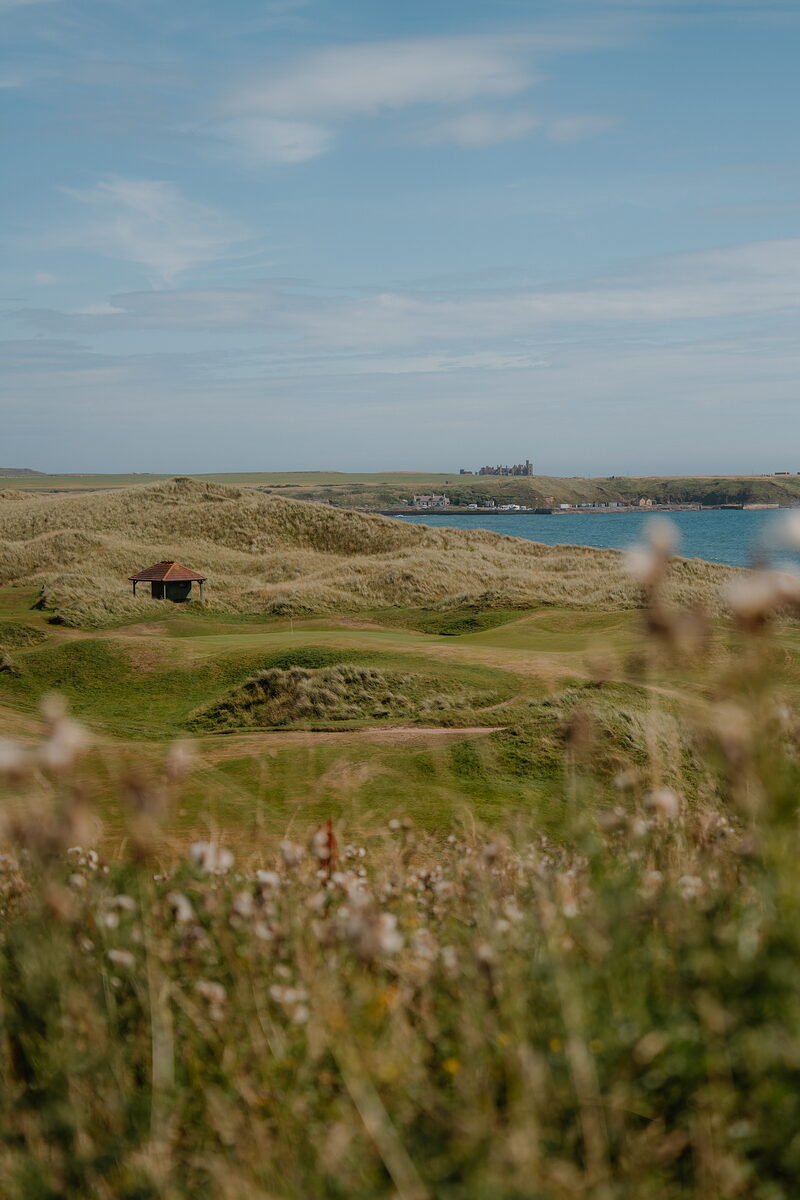 A dark timber shelter set into dunes overlooking a bay, a distant headland town visible across the water