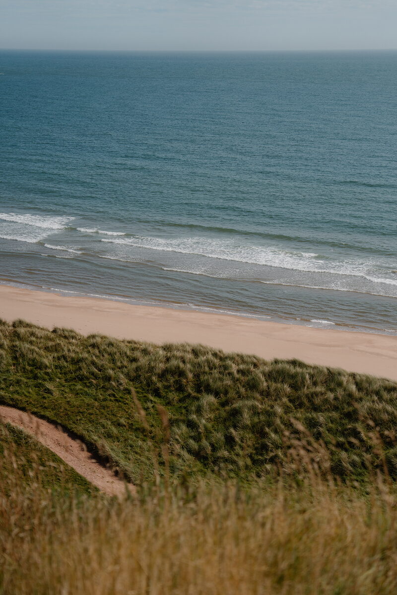 Waves breaking along a sandy beach beneath grassy dunes, a path winding down through the grass