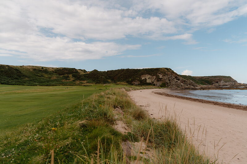 A sandy beach curving beneath low cliffs beside a fairway, wildflowers growing in the dunes