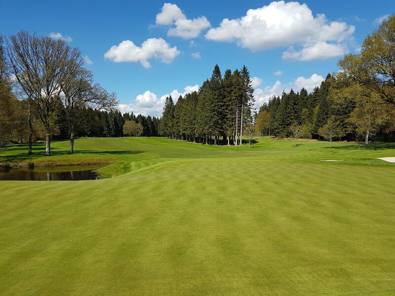 A wide green running back to a pond edged with red stakes, with oaks, a stand of tall conifers and a fairway beyond.
