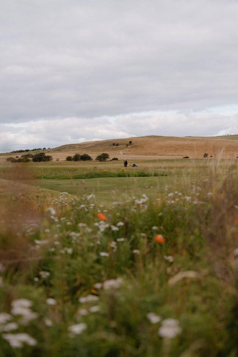 Wildflowers and long grass bordering a fairway where a golfer walks in the distance