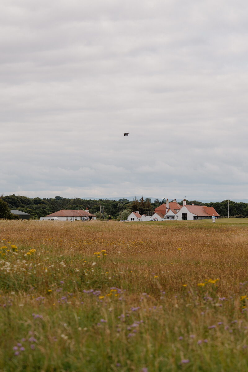 A clubhouse and outbuildings seen across a wildflower meadow, a kite flying in the sky above