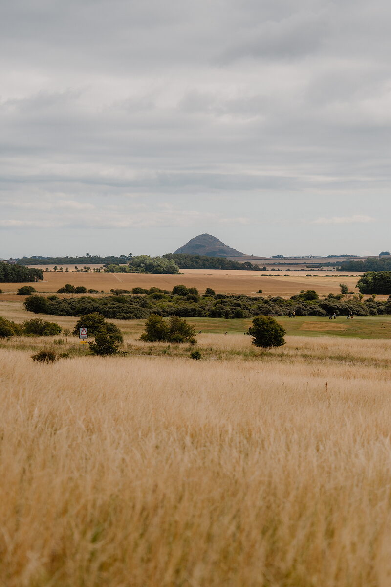 Farmland and hedgerows stretching towards a conical hill on the horizon, long grass in the foreground
