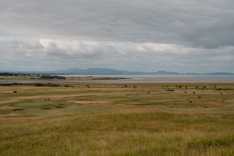 Cattle grazing on marshland beside a firth, hills fading into the distance under a heavy sky