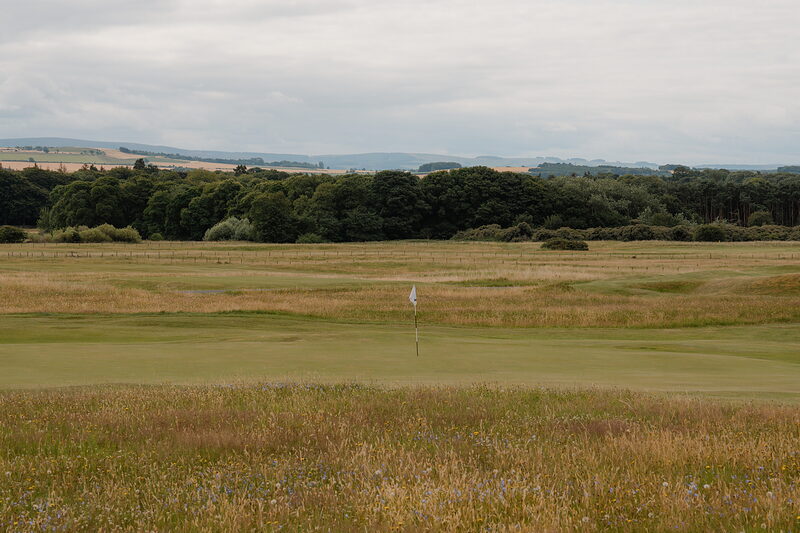 A green marked by a white flag bordered by woodland, wildflowers scattered through the rough grass