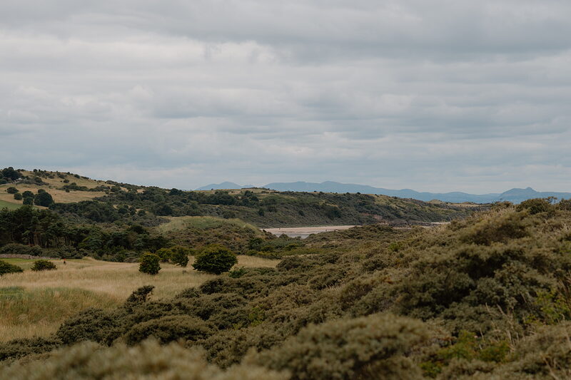 Gorse bushes covering rolling dunes, a sandy inlet and distant hills visible beyond