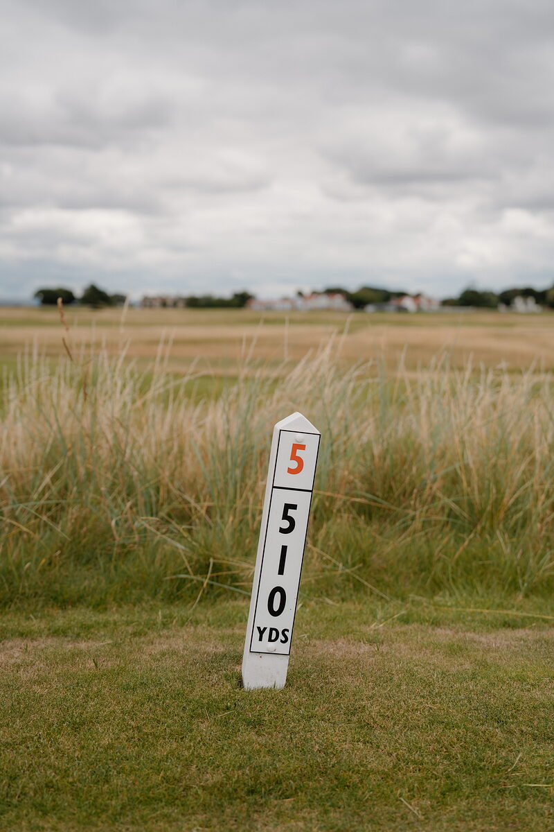 A course marker post reading hole 5, 510 yards, standing before long grass and distant buildings