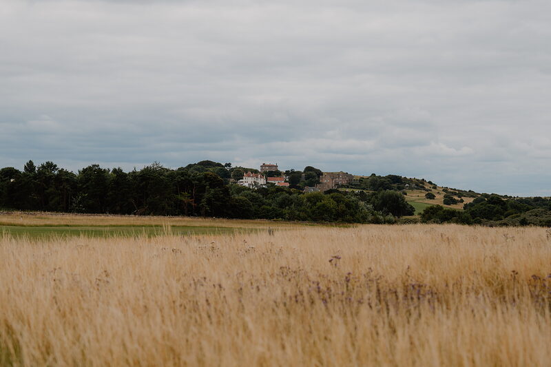 A cluster of buildings on a wooded rise seen across a field of long grass