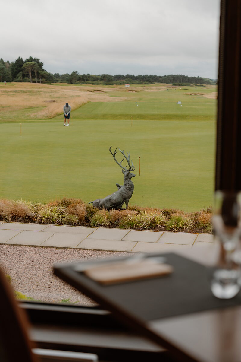 A golfer putting on a green beside a bronze stag statue, viewed from a clubhouse terrace