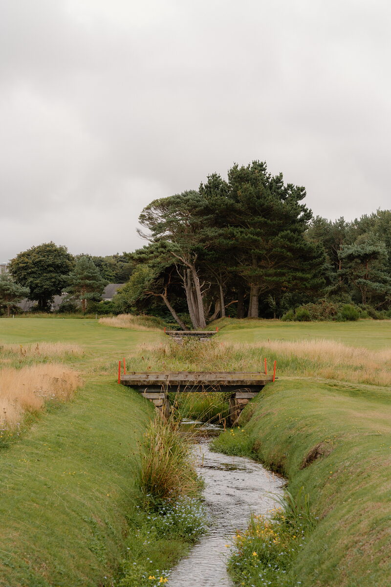 A wooden footbridge crossing a burn beneath a wind-bent pine, fairways stretching to either side