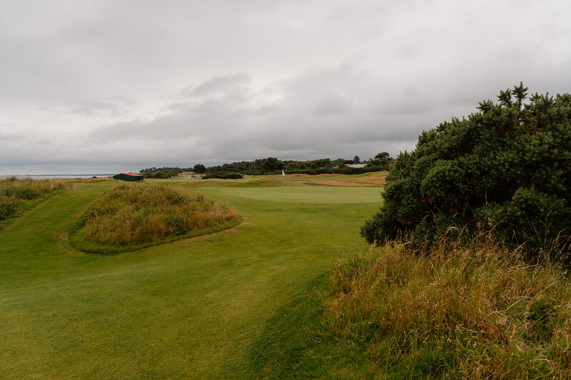 A gorse bush bordering a fairway, a timber shelter visible on the rise beyond