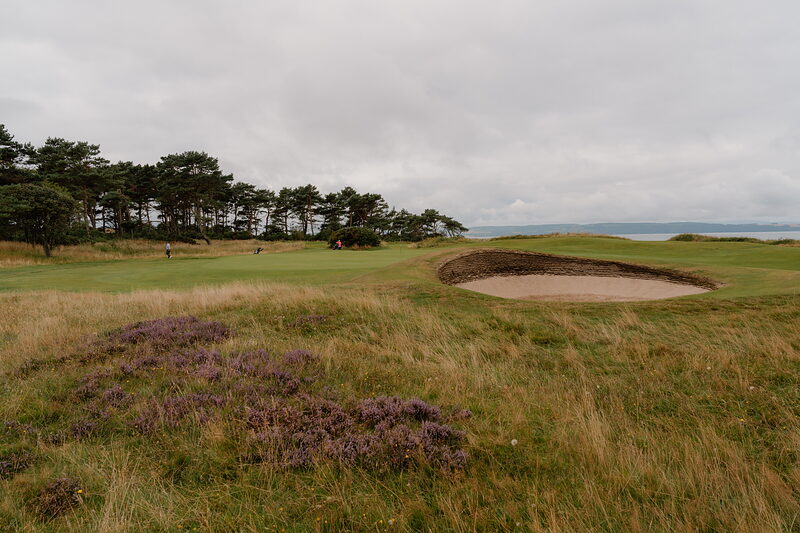 A bunker beside a green bordered by pine trees, a distant golfer visible on the fairway