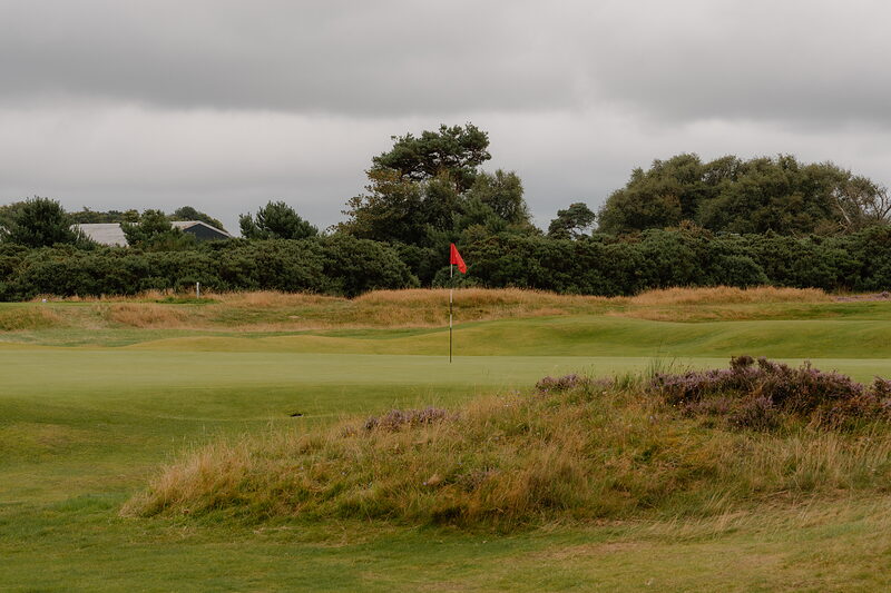 A red flag marking a green bordered by a hedge and pine trees