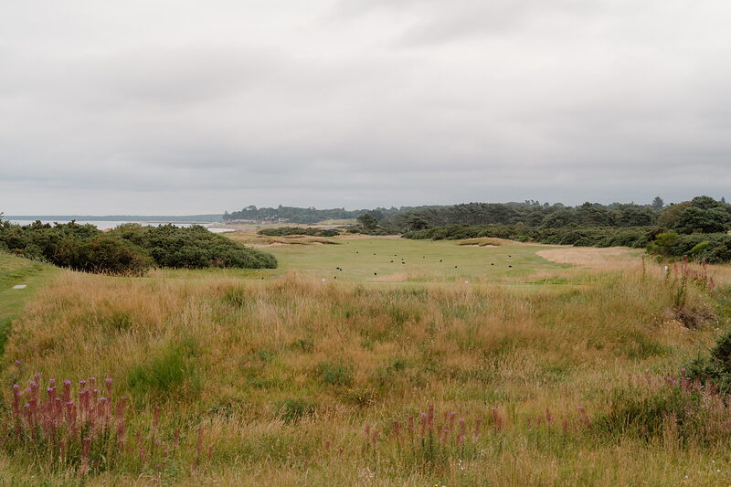 Open fairway framed by rough grass and gorse, with woodland and the sea visible in the distance