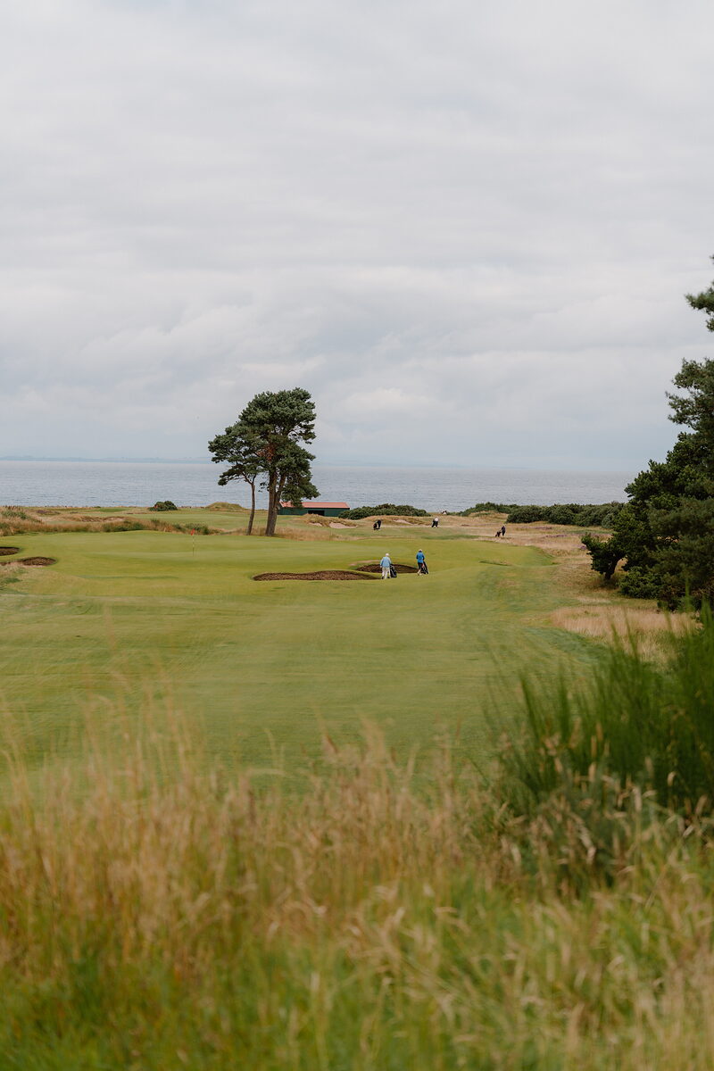 Golfers beside a pine tree on the green at Nairn, the sea stretching out behind