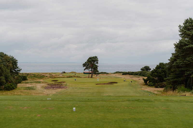 Golfers beside a pine tree on the green at Nairn, framed by trees on either side of the fairway