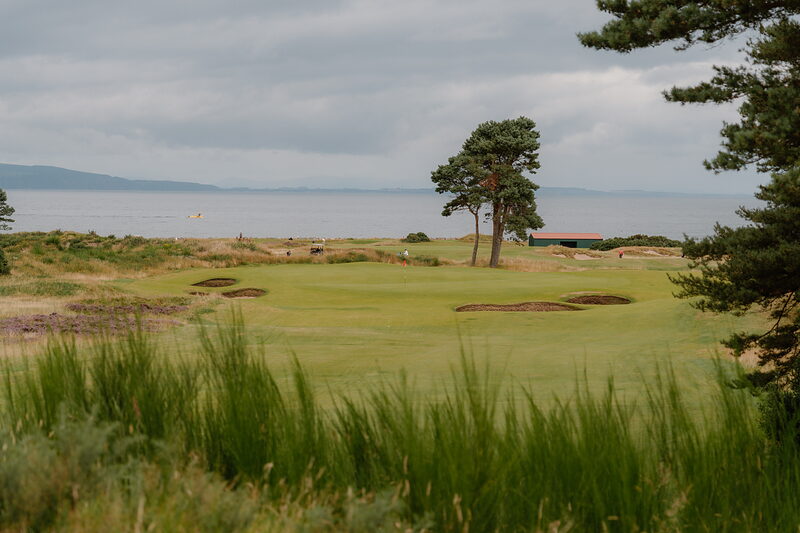 A links green framed by a lone pine tree, bunkers either side and golfers visible on the fairway beyond