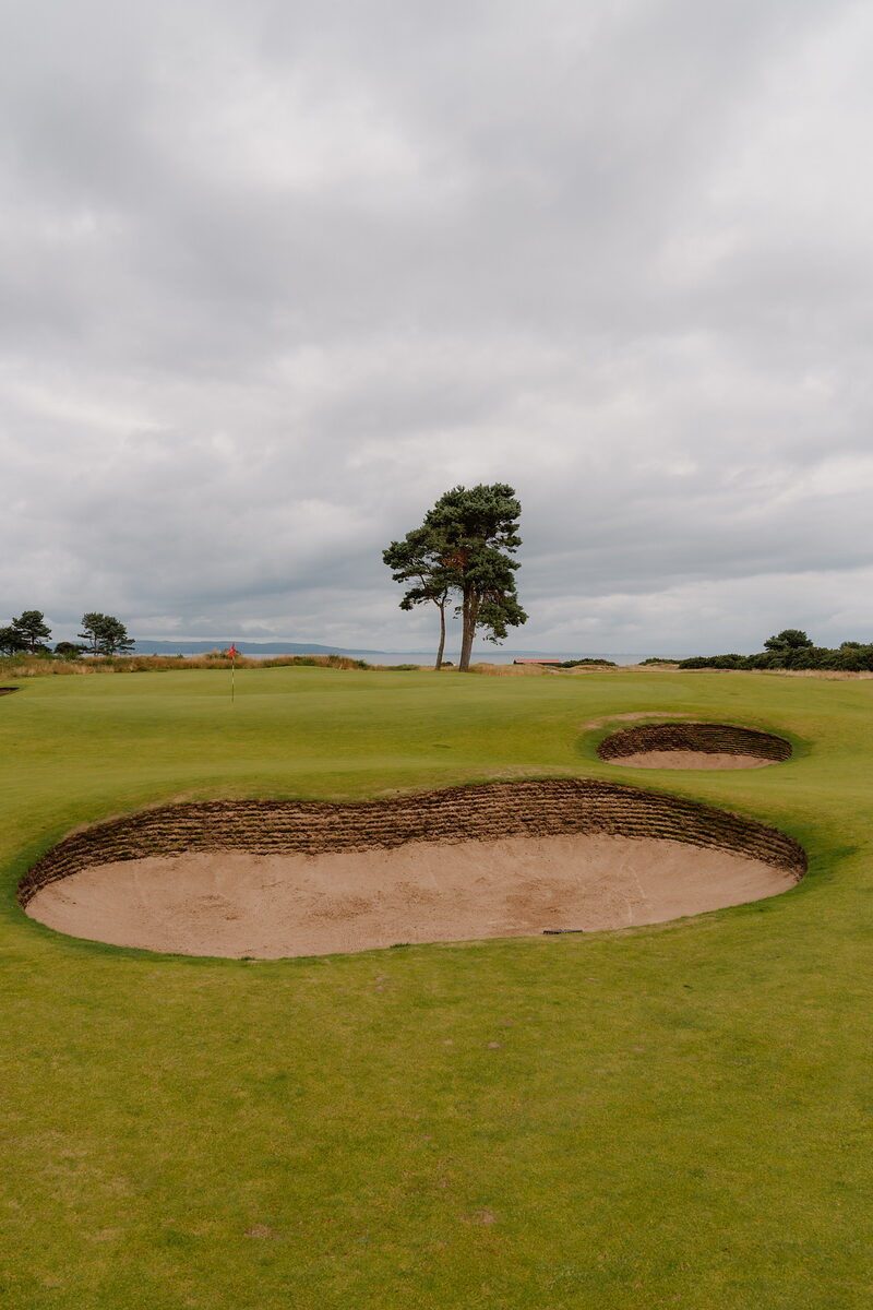 A pair of pot bunkers beside the green at Nairn, a lone pine tree standing behind