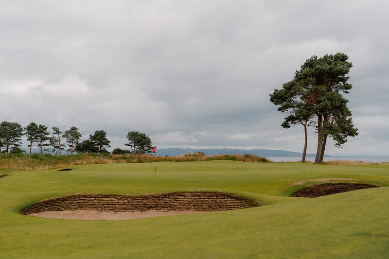 A green with the flag flying, bunkers either side and a lone pine tree standing beside the fairway