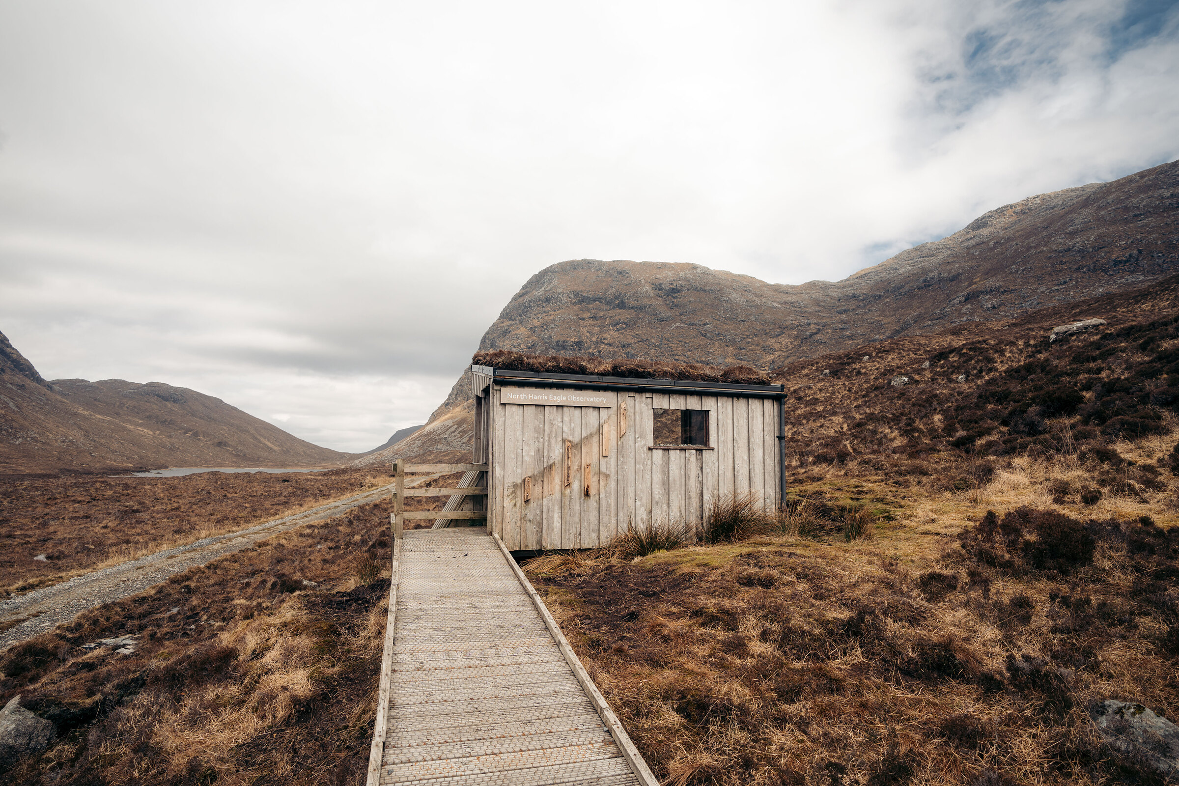 Golden eagles at the North Harris Eagle Observatory