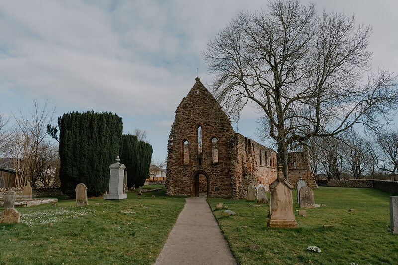 A ruined abbey with a pointed gable and arched doorway stands beside a tall cedar tree, gravestones scattered across the surrounding lawn.
