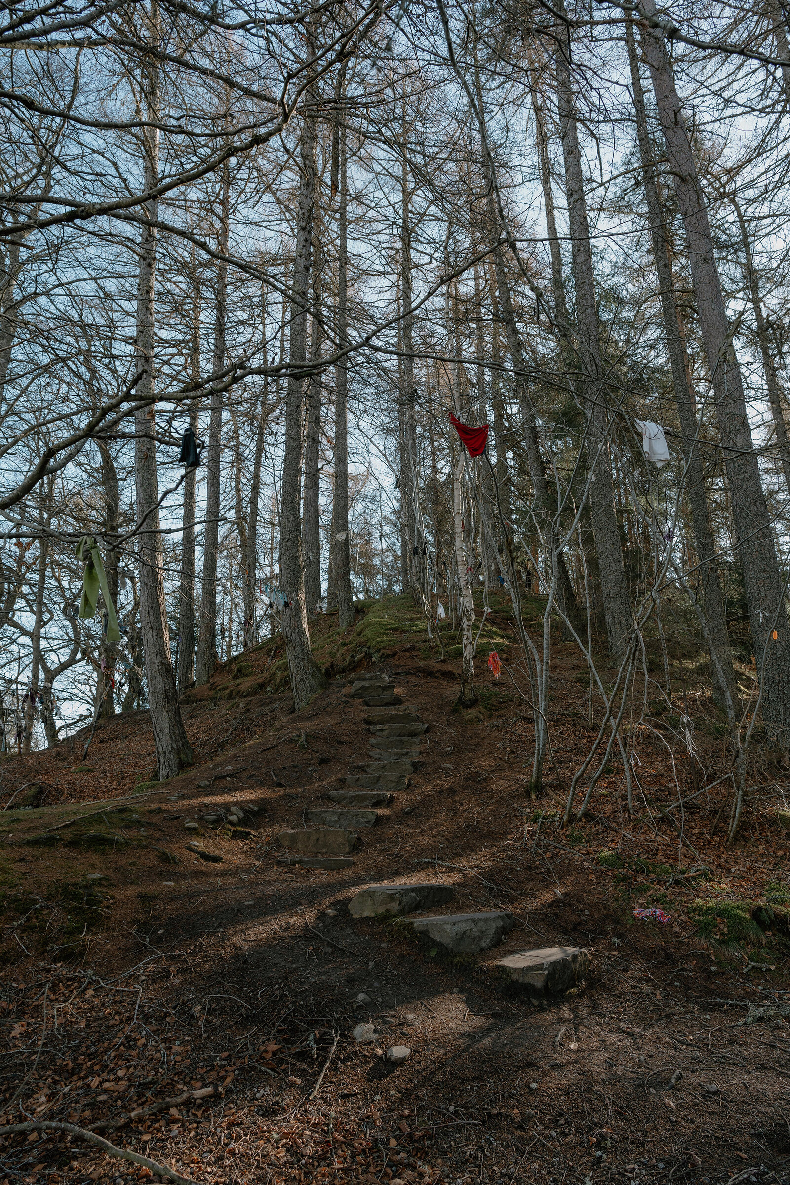 Stone steps climb a wooded hillside past bare larch trees hung with old shoes and scraps of cloth.